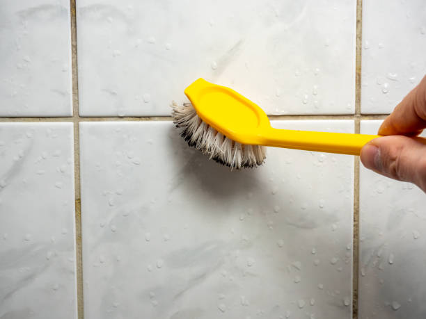 Best Local Mold Removal Service  in Nashville, AR
