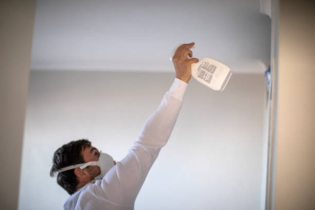 Best Office Mold Removal Services  in Nashville, AR